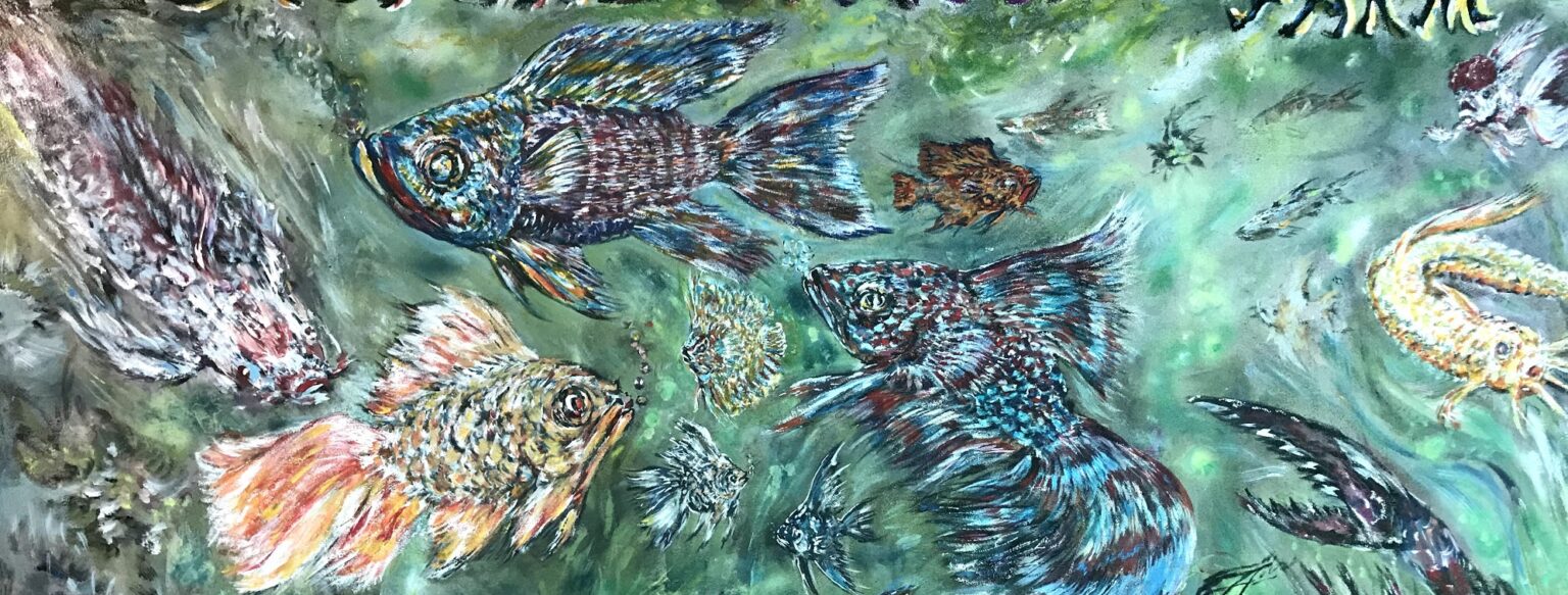 Neighborhood Fish Farm Miami's Aquarium Tropical Fish and Koi Destination